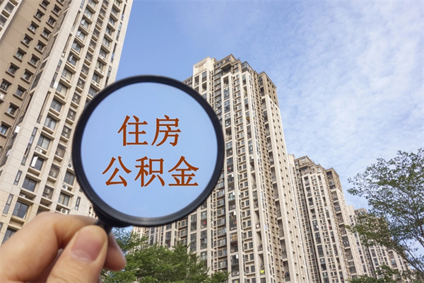 个人交公积金如何交-上海公积金代办平台